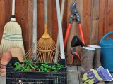 5 основных инструментов для каждого садовника