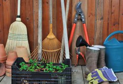5 основных инструментов для каждого садовника