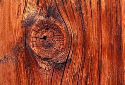 «Присолить» или промаслить: к вопросу необходимости применения и нюансов выбора защитных составов для древесины